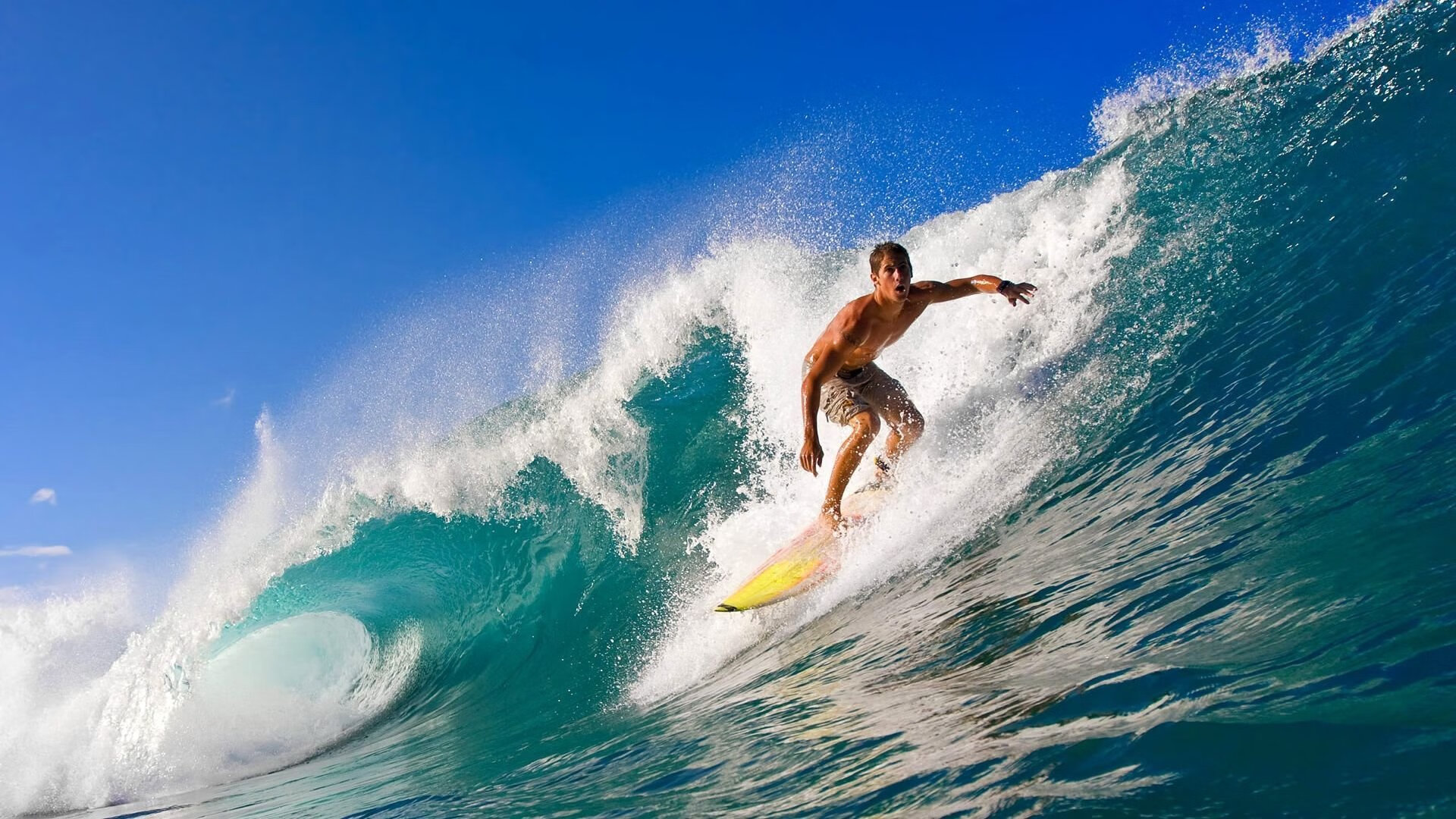 澳大利亚橄榄球赛事吸引全球观众，体育市场新机遇，澳大利亚橄榄球运动员